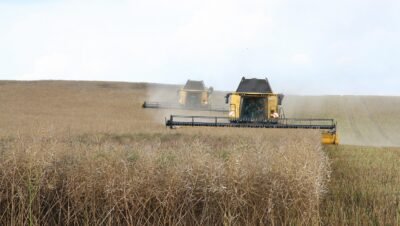 Adjuvante agrícola preço fatores que influenciam e como escolher a melhor opção